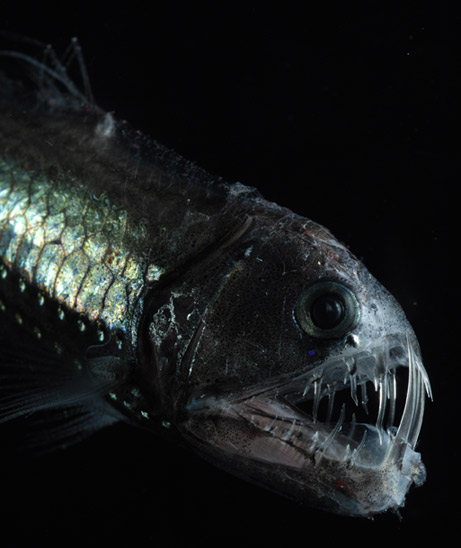 Though I can't imagine why.