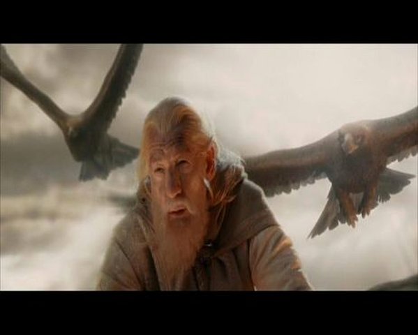 In retrospect, this does seem much easier than walking.