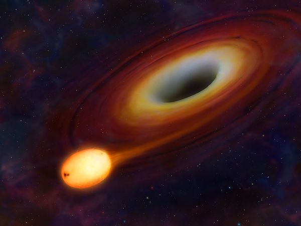 And then screaming in terror when we find massive stars being devoured by huge black holes.